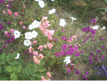 ����-0023.jpg