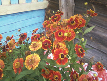 ����-0024.jpg