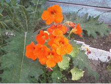 ����-0025.jpg