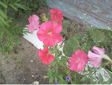 ����-0026.jpg