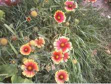����-0027.jpg