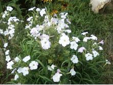 ����-0028.jpg