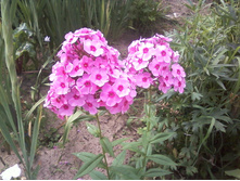 ����-0030.jpg