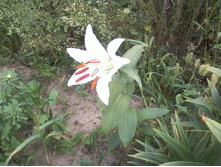 ����-0038.jpg