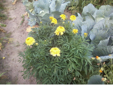 ����-0039.jpg
