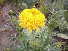 ����-0041.jpg