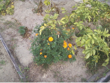 ����-0043.jpg