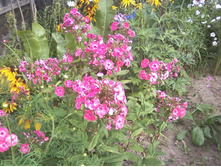 ����-0048.jpg