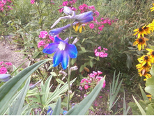 ����-0051.jpg