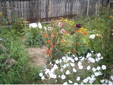 ����-0055.jpg