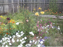 ����-0056.jpg