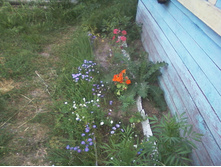 ����-0057.jpg