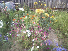 ����-0058.jpg