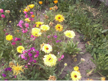 ����-0061.jpg