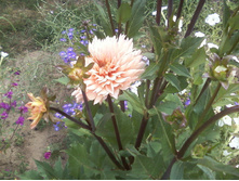 ����-0064.jpg