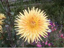 ����-0066.jpg