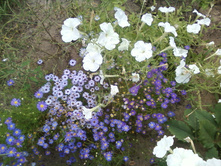 ����-0067.jpg