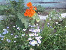 ����-0068.jpg