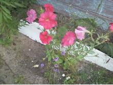 ����-0070.jpg