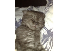 26.02.2013 23:03:44