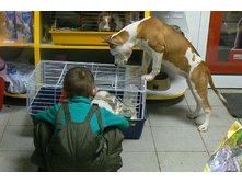 getImage (2).jpg