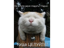 28.05.2012 9:38:04