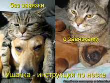 28.05.2012 9:38:13