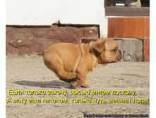 28.05.2012 9:38:17