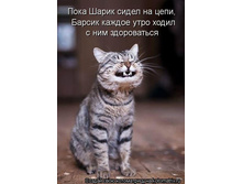 28.05.2012 9:38:21