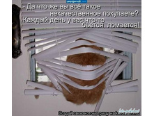 28.05.2012 9:38:32