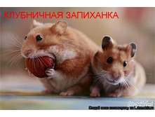 28.05.2012 9:38:48