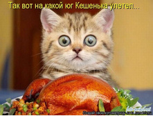 28.05.2012 9:38:55
