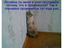 28.05.2012 9:39:14