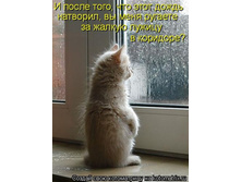 28.05.2012 9:39:18