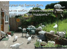 28.05.2012 9:39:31