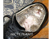 28.05.2012 9:40:06