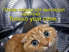 28.05.2012 9:41:16