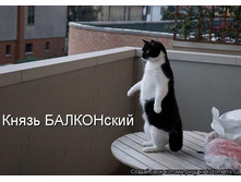 28.05.2012 9:41:24
