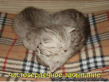 28.05.2012 9:45:23