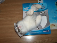 DSCN4709.JPG