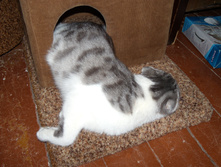 DSCN5889.jpg