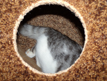 DSCN5891.jpg