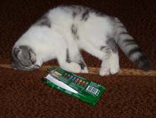 DSCN5994.jpg