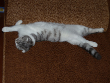 DSCN5996.jpg