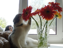 DSCN6131.jpg