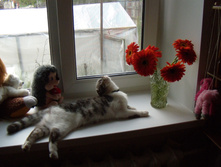 DSCN6136.jpg