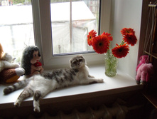 DSCN6137.jpg