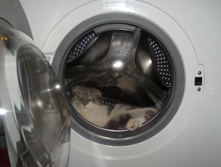 DSCN6188.jpg