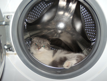 DSCN6189.jpg