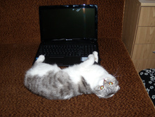 DSCN6623.JPG